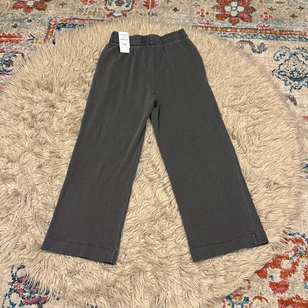 NWT treasure & Bond Sweatpants size small